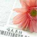 缸叔侃篮球的头像