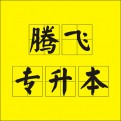 Hippocampus制作组的头像