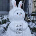 麻恩浩的头像