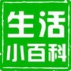 一个聪明的女人的头像