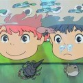 观心心理LookAfter的头像