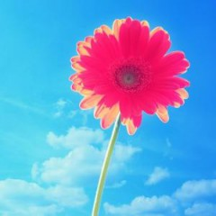 兰考梦拉女装的头像