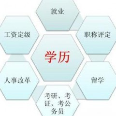 LQXZ龙拳小子的头像