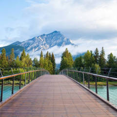 dear宁可儿的头像
