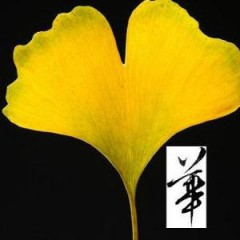 亡鱼是深海的旧疤166