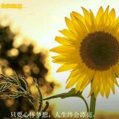 middot魏宁海论股的头像