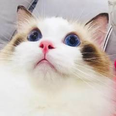 牡丹江九天环球影城的头像