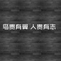 Lynx齐昊的头像