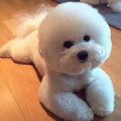 L李明霖的头像