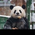 河南专业音响的头像