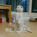 卡面苦瓜君