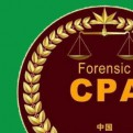 cs二小姐的头像