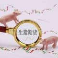 东北小伊的头像